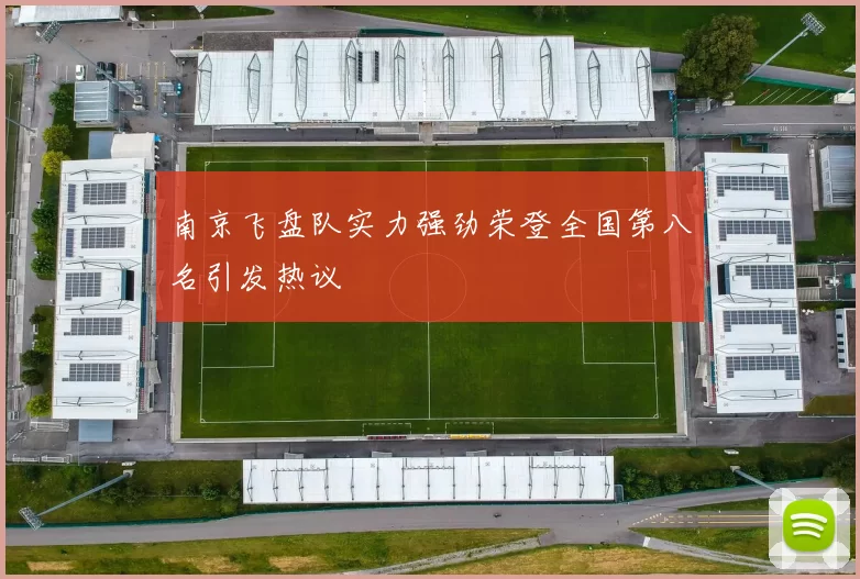 南京飞盘队实力强劲荣登全国第八名引发热议