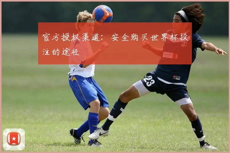 官方授权渠道：安全购买世界杯投注的途径