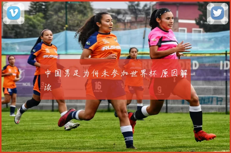 中国男足为何未参加世界杯 原因解读