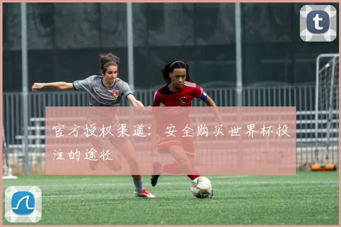 官方授权渠道：安全购买世界杯投注的途径