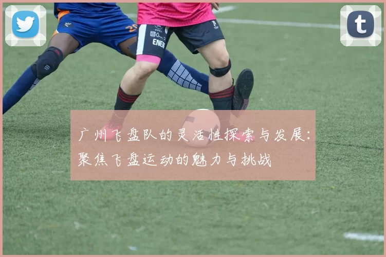 广州飞盘队的灵活性探索与发展：聚焦飞盘运动的魅力与挑战