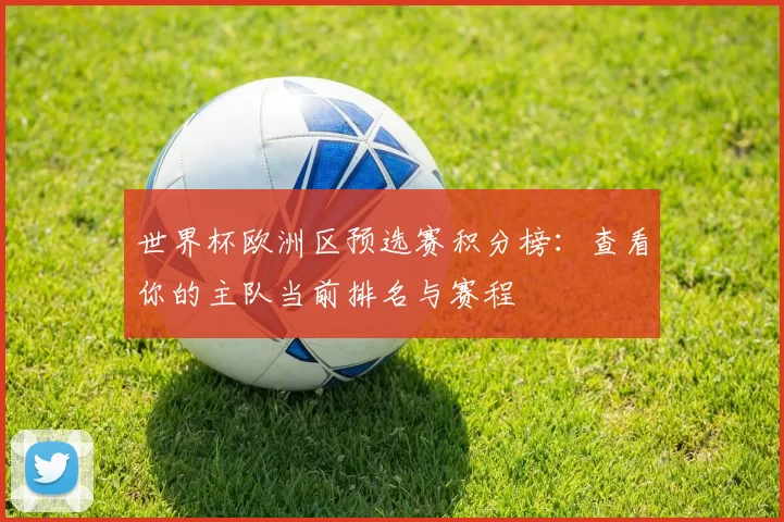 世界杯欧洲区预选赛积分榜：查看你的主队当前排名与赛程
