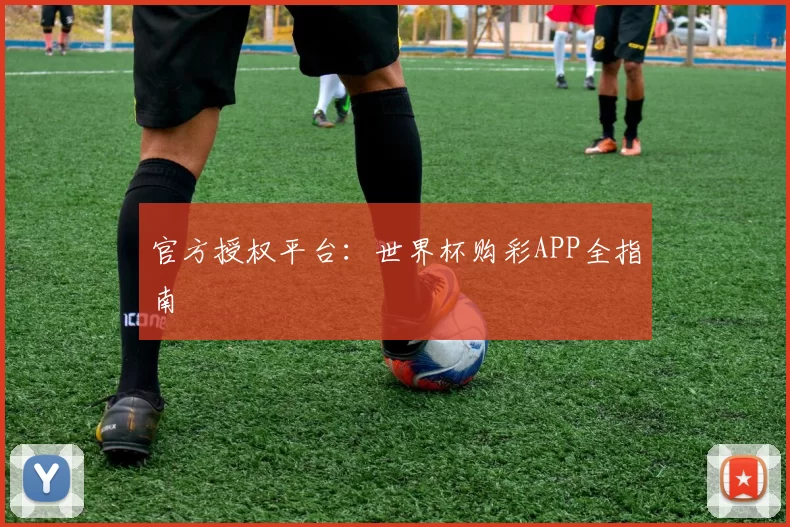 官方授权平台：世界杯购彩APP全指南