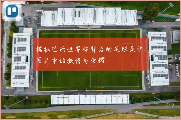 揭秘巴西世界杯背后的足球美学：图片中的激情与荣耀