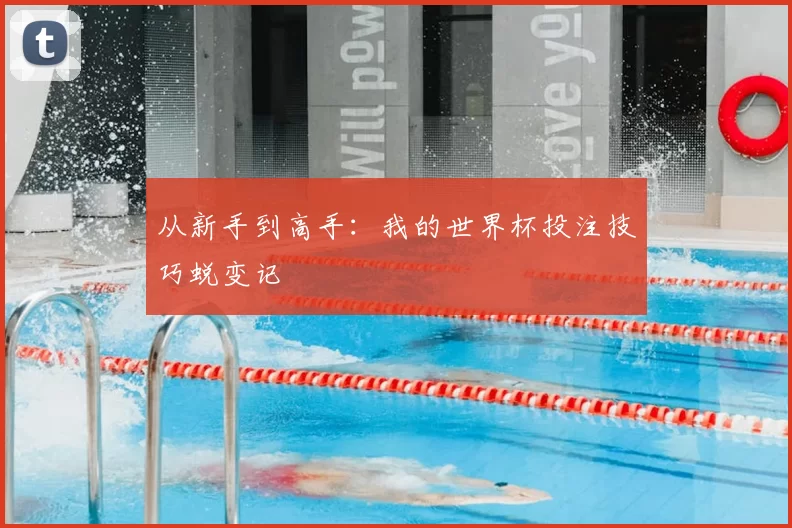 从新手到高手：我的世界杯投注技巧蜕变记