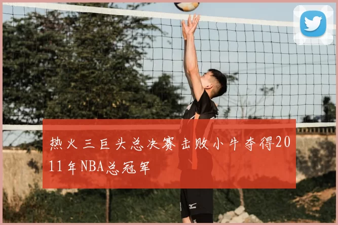 热火三巨头总决赛击败小牛夺得2011年NBA总冠军