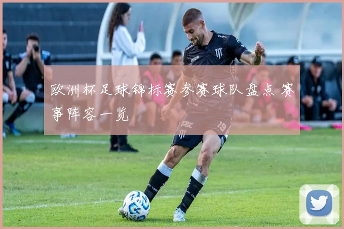 欧洲杯足球锦标赛参赛球队盘点 赛事阵容一览
