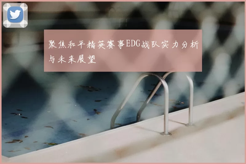 聚焦和平精英赛事EDG战队实力分析与未来展望
