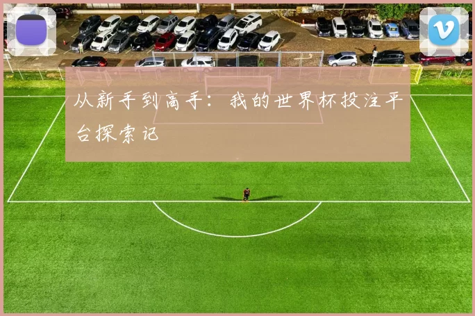 从新手到高手：我的世界杯投注平台探索记