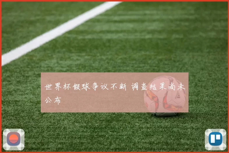 世界杯假球争议不断 调查结果尚未公布