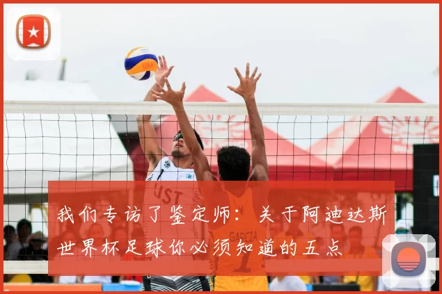 我们专访了鉴定师：关于阿迪达斯世界杯足球你必须知道的五点