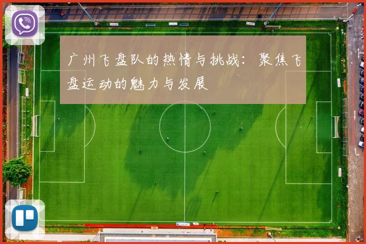 广州飞盘队的热情与挑战:聚焦飞盘运动的魅力与发展